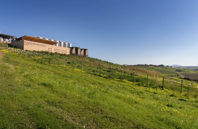 Mandrarossa Winery / Gruppo Vid'A - Winery
