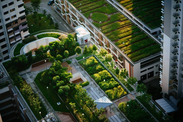 O desenvolvimento urbano sustentável na agenda 2030 da ONU  - Imagem de Destaque