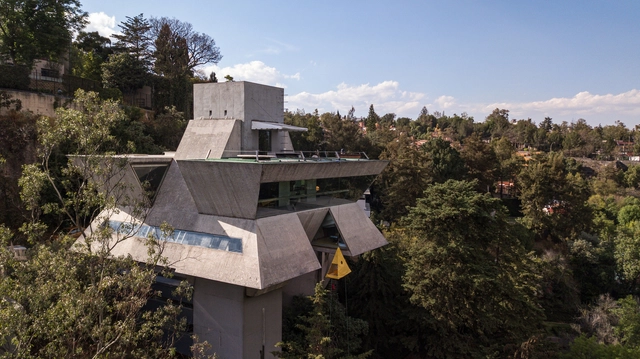 Taller de Arquitectura de Agustín Hernández abre sus puertas para presentar la muestra "Por debajo del árbol" - Imagen Principal