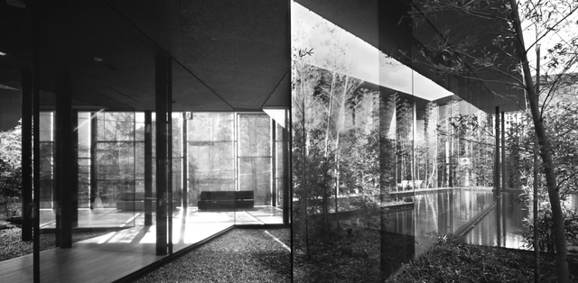 Photographic Language for Impermanence  - Featured Image
