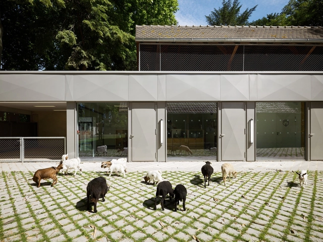 20 Times Architecture Sheltered Animals, Not Humans - Featured Image