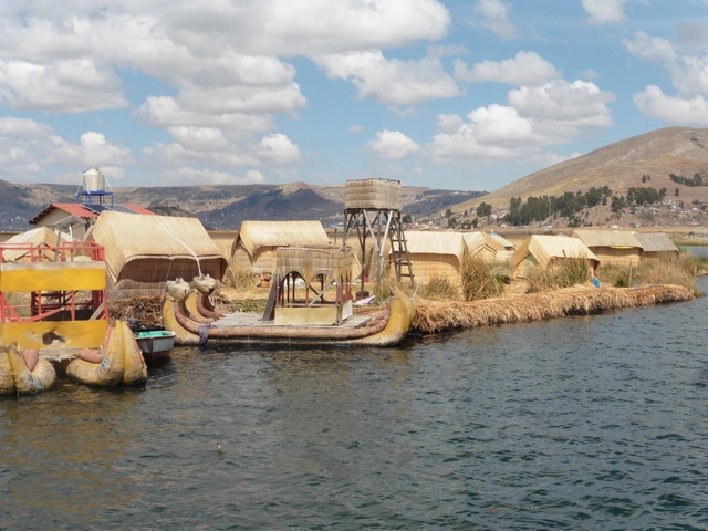 La totora, un material sostenible para el aislamiento térmico - Imagen Principal