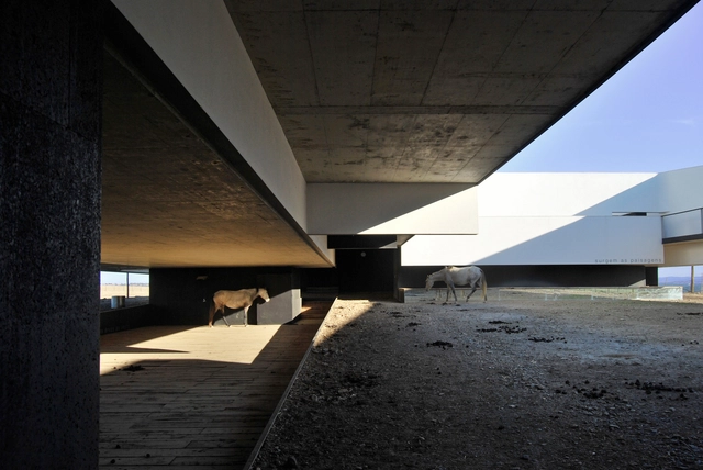Biodiversidade e inserção da arquitetura na paisagem: entrevista com João Maria Trindade - Imagem de Destaque