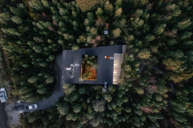 Casas en el Bosque: ejemplos que dialogan con el entorno en Latinoamérica - Imagen Principal