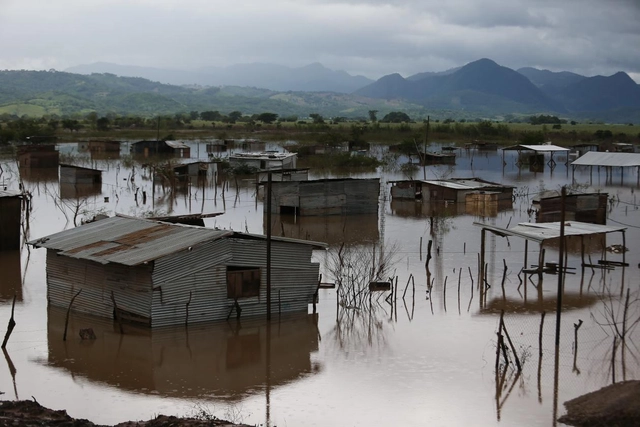 Compromissos, ambição e frustração: o progresso da América Latina nas questões climáticas - Imagem de Destaque