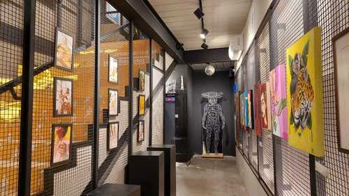 Expo ZIV Mulheres acontece no IED e Beco do Batman - Imagem de Destaque