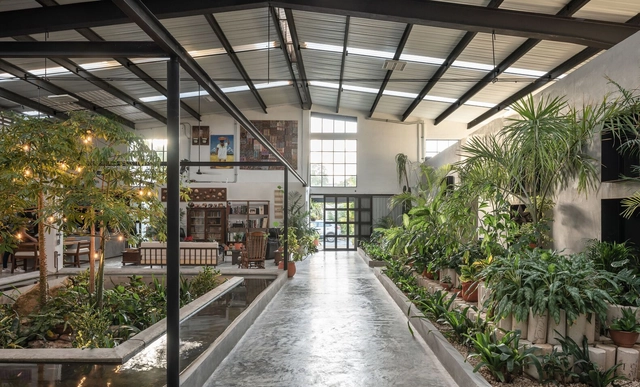 The Cellar House / Taller Verde Arquitectura - Interior Photography, Decoration & Ornament, Garden, Facade