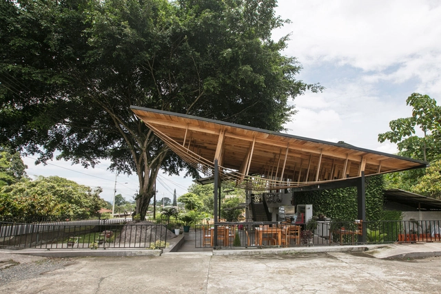 村口榕树下，社区公共空间 Ficus Alto / Natura Futura Arquitectura - 建筑图, 社区建筑