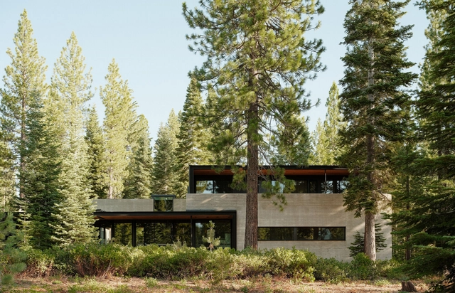 Forest House / Faulkner Architects - Exterior Photography, Houses, Facade, Forest