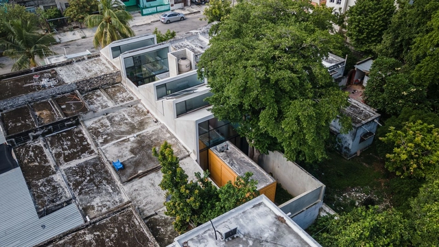 MF Studios / Estudio Santa Rita - Exterior Photography, Offices, Garden, Facade, Cityscape