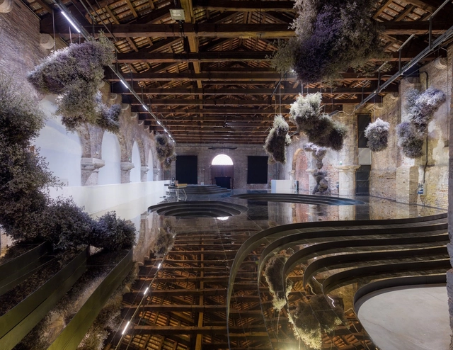 Un primer vistazo a las instalaciones arquitectónicas de la Bienal de Arte de Venecia 2022 - Imagen Principal