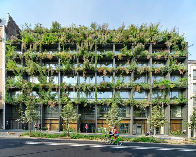 M 大楼 / Triptyque Architecture - 建筑图, 保健中心, 花园, 表皮