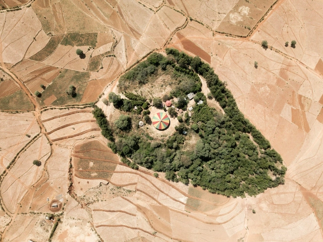 Sacred Forests: The Dialogue Between Religion and Environmental Preservation in Ethiopian Churches - Featured Image