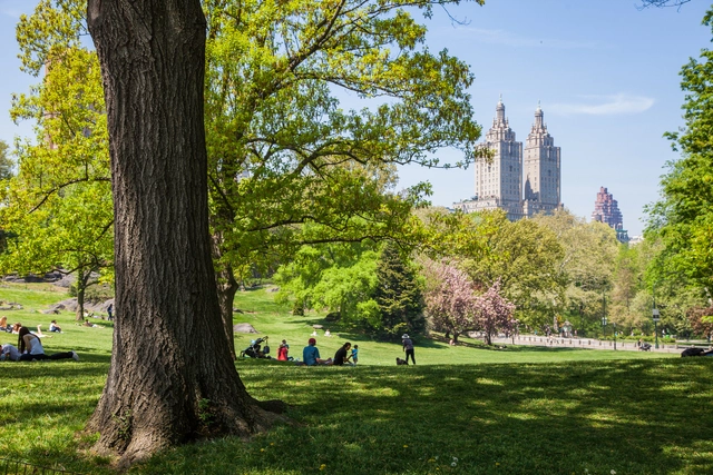 Nueva guía digital rinde homenaje a Frederick Law Olmsted, pionero de la arquitectura del paisaje - Imagen Principal