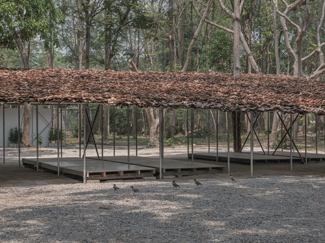 Pavilhão Folly in the Forest / Bangkok Tokyo Architecture - Fotografia de Exterior, Comunitário, Floresta