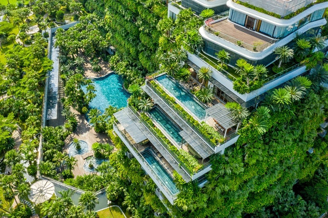 戴丽火烈鸟度假酒店 / Flamingo Architecture - 建筑图, 酒店, 花园, 表皮, 森林