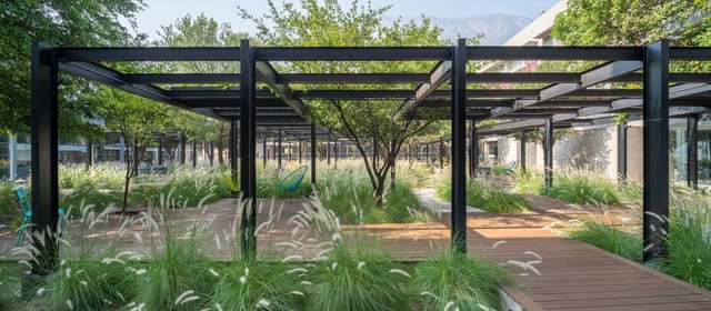 Jardín la Playita / Joshua Ascencio - Fotografía exterior, Campus, Jardín