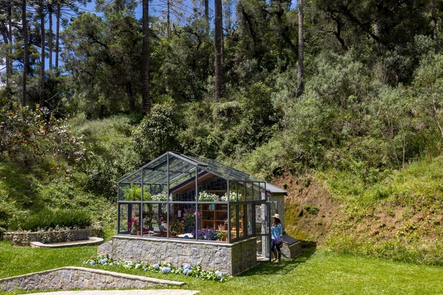 Estufa Araucária / Angá Arquitetura - Fotografia de Exterior, Estufa, Jardim, Floresta