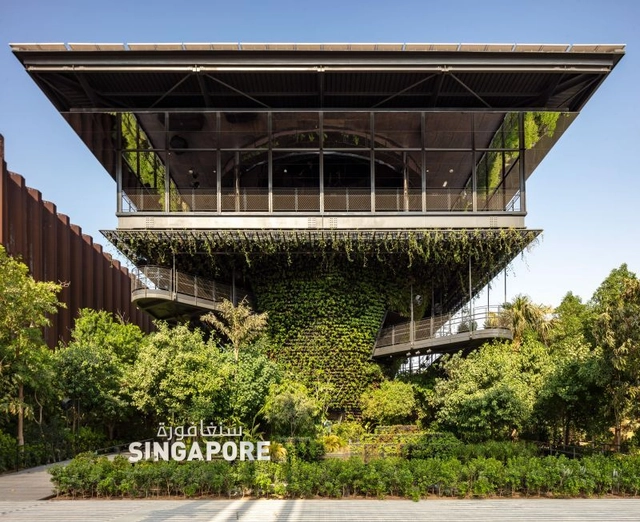 Rewilding the Sky with Salad Dressing Landscape Architects - Featured Image