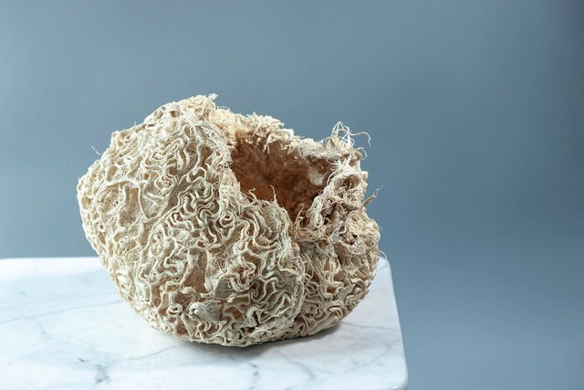 London Design: Material Matters - Featured Image