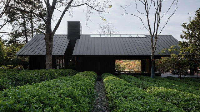 Casa de Chá na Floresta / Mix Architecture - Fotografia de Exterior, Restaurantes E Bares