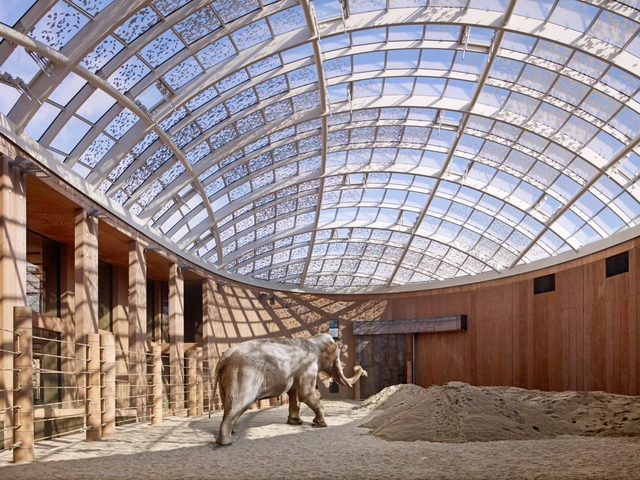 Arquitetura para animais: biodiversidade, abrigo e habitat - Imagem de Destaque
