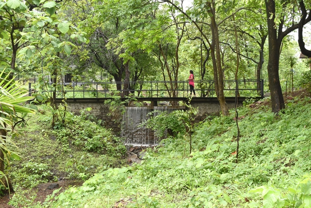 Puente en la represa / architecture INNATE - Fotografía exterior, Puente Peatonal, Jardín, Bosque
