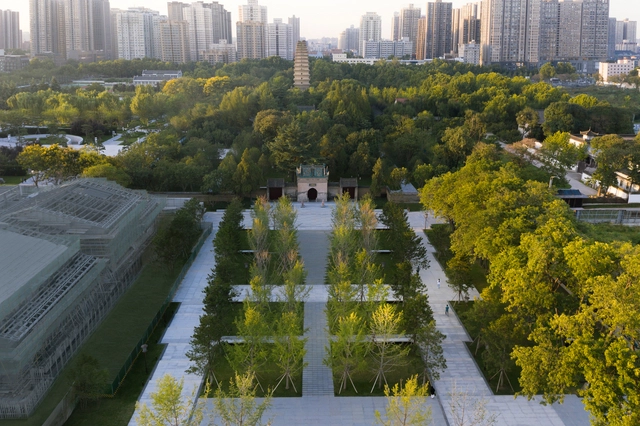 Áreas verdes estratégicas: como aproveitar ao máximo seus efeitos de resfriamento - Imagem de Destaque
