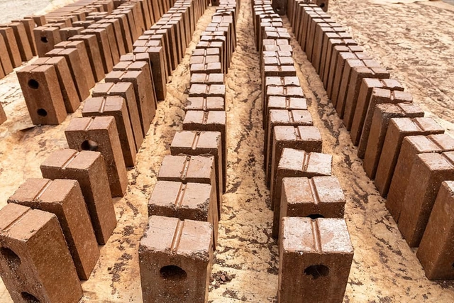 Mexicano transforma alga em blocos de construção como solução para infestação em praias - Imagem de Destaque