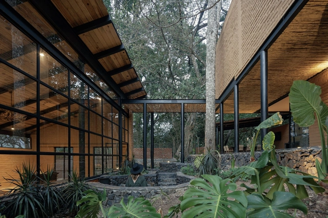 Casa patio / herchell arquitectos - Fotografía interior, Casas, Jardín, Fachada, Fijación Vigas