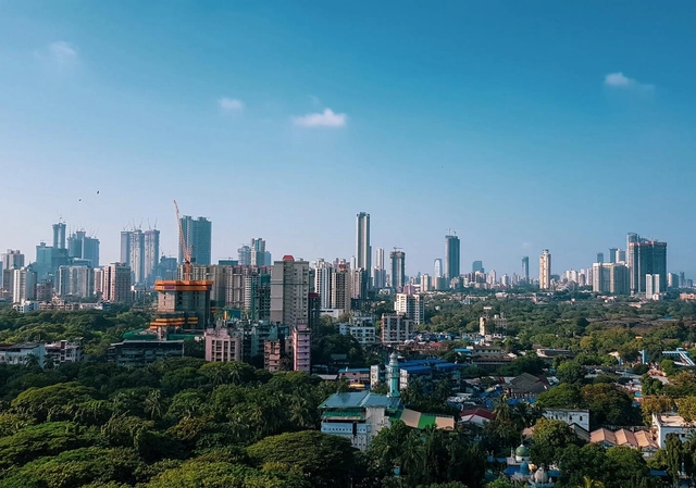 5 Motivos para as cidades incluírem as árvores nas ações pelo clima - Imagem de Destaque