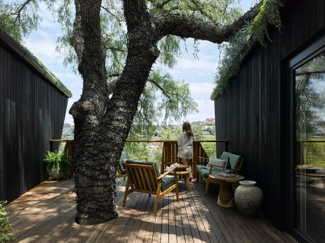 Casa Passiva da Árvore de Aroeira-salso / Alexander Symes Architect  - Fotografia de Exterior, Casas, Jardim, Fachada, Cadeira