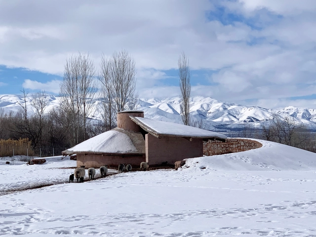 Refugio de cabras Palanga / Erginoğlu & Çalışlar Architects - Fotografía exterior, Guardería Animal