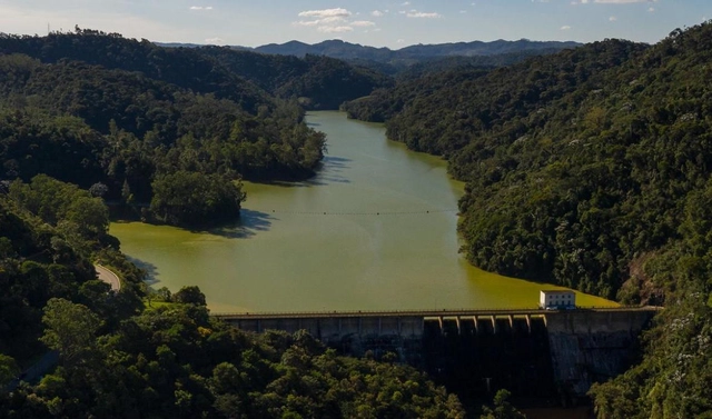 Florestas para água: uma solução baseada na natureza para enfrentar crises hídricas - Imagem de Destaque