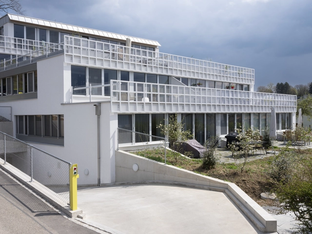 Therwil 阶梯式住房 / Lütiens Padmanabhan Architekten - 建筑图, 独立住宅, 表皮, 门