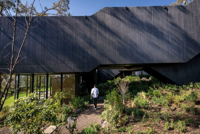 Casa Pasiddhi / Rojkind Arquitectos + Agustín Pereyra + Inocente Colectivo - Fotografia de Exterior, Casas, Jardim, Fachada, Floresta