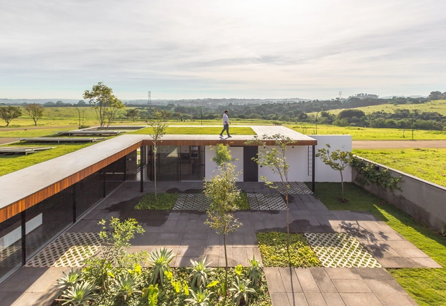 Ideias de paisagismo para casas pátio - Imagem de Destaque