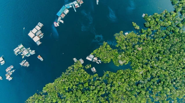 Como a arquitetura se relaciona com a floresta e seus habitantes? - Imagem de Destaque