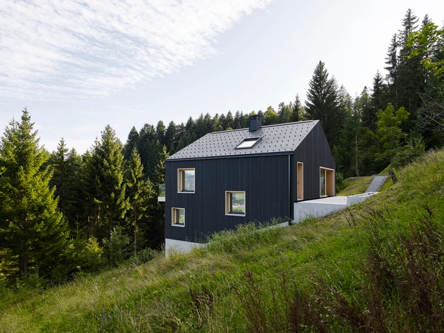 Bregenzerwald 度假小屋 / Architektur-SCHWEIGHOFER - 建筑图, 细部, 森林