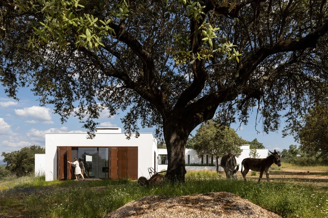 House in Crato / Inês Brandão Arquitectura - Exterior Photography, Houses, Facade