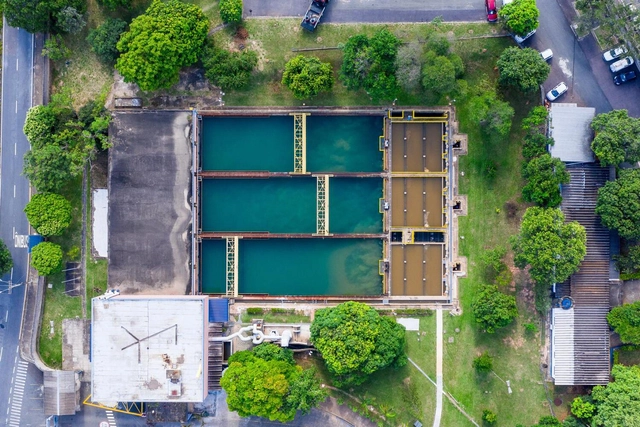 Florestas conservadas e restauradas melhoram a qualidade da água de Campinas e região - Imagem de Destaque