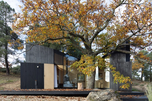栗木小屋，自然共生 / João Mendes Ribeiro - 建筑图, 独立住宅, 表皮, 森林