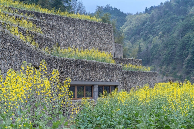 Qingxi Culture and History Museum / UAD - Exterior Photography, Museum, Garden, Forest