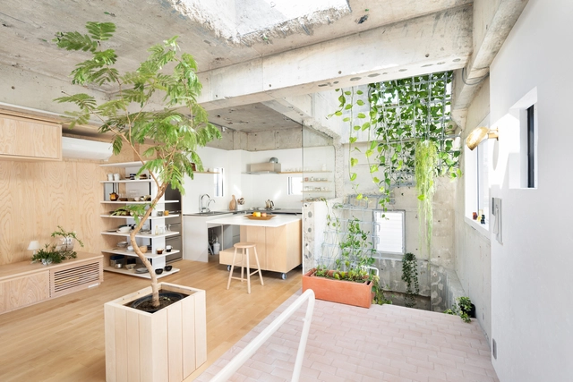 House in Myougadani / MAMM DESIGN - Interior Photography, Renovation, Kitchen, Facade, Door, Table, Lighting, Chair, Countertop