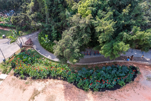 Soluções baseadas na natureza: exemplos implementados por cidades brasileiras - Imagem de Destaque
