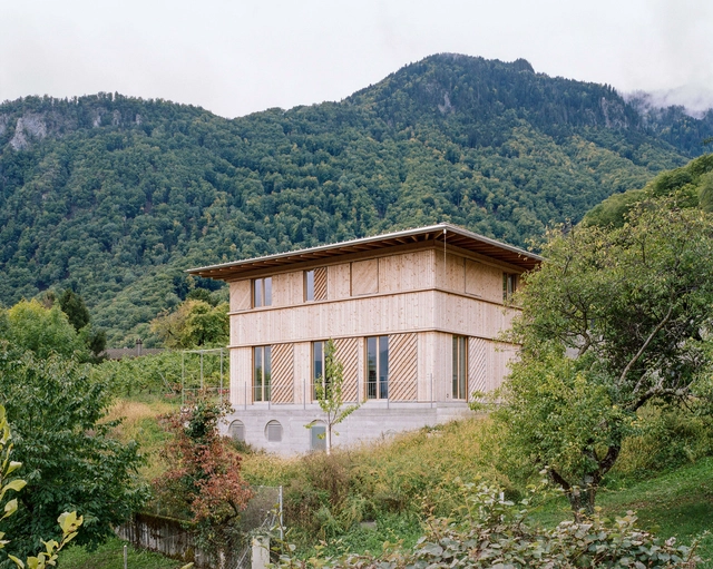House in the Vineyards in Vouvry / Madeleine architectes + Studio Francois Nantermod - Exterior Photography, Houses, Garden, Facade, Forest