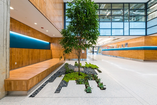 Why is Terrazzo Considered One of the Original Sustainable Floors?  - Featured Image