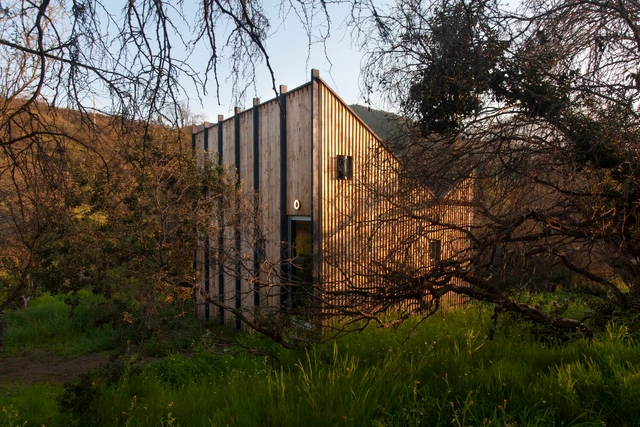 Brujas House / DX Arquitectos - Exterior Photography, Houses, Door, Forest