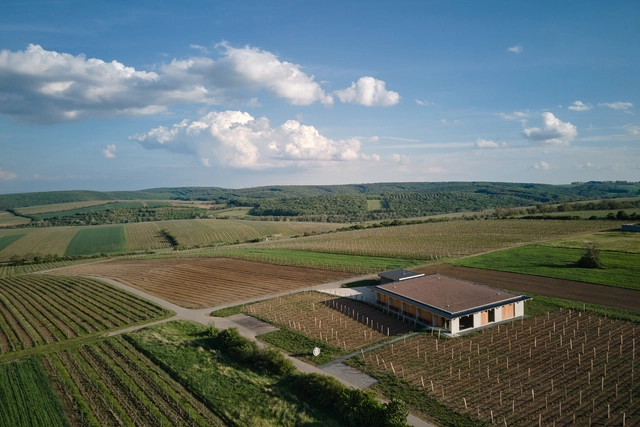 Bodega Přátelé Pavlova / Atelier Štepán - Fotografía exterior, Viña
