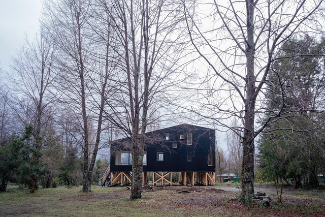 Casa tekila / Medio Arquitectura - Fotografía exterior, Casas, Bosque